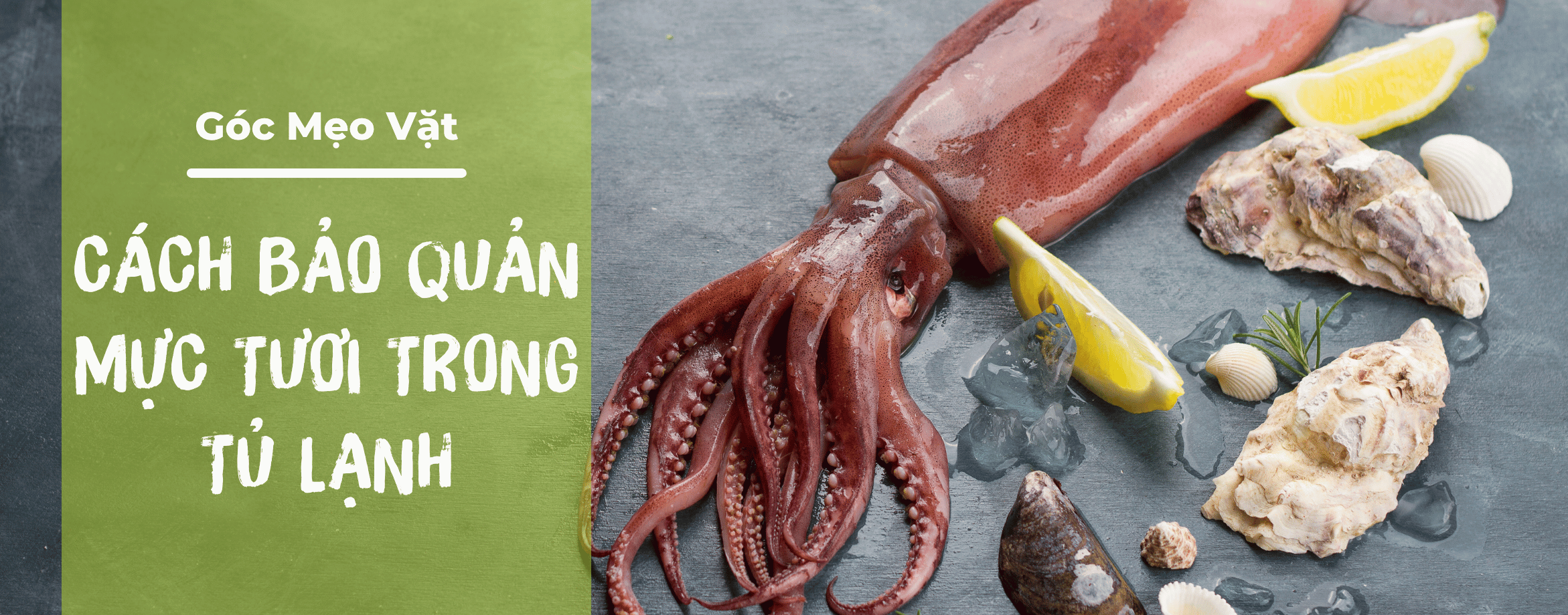 How to preserve fresh squid in the refrigerator for a long time